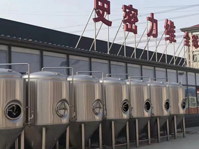 温岭精酿啤酒设备厂—如何判断精酿啤酒设备的密封件需要更换？